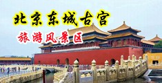 草女人BB中国北京-东城古宫旅游风景区